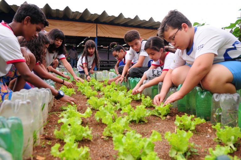 Educação - geral - horta escolar ensino ambiental agricultura