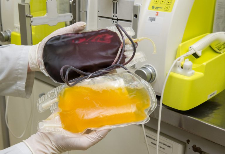 Saúde - geral - doação sangue plasma doador voluntário voluntariado hemoderivados