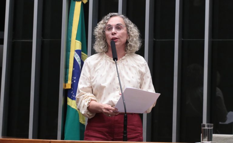 Discussão e votação de propostas legislativas. Dep. Ana Paula Lima (PT - SC)