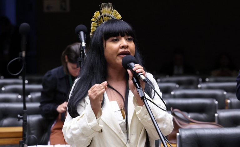 Célia Xakriabá discursa no plenário
