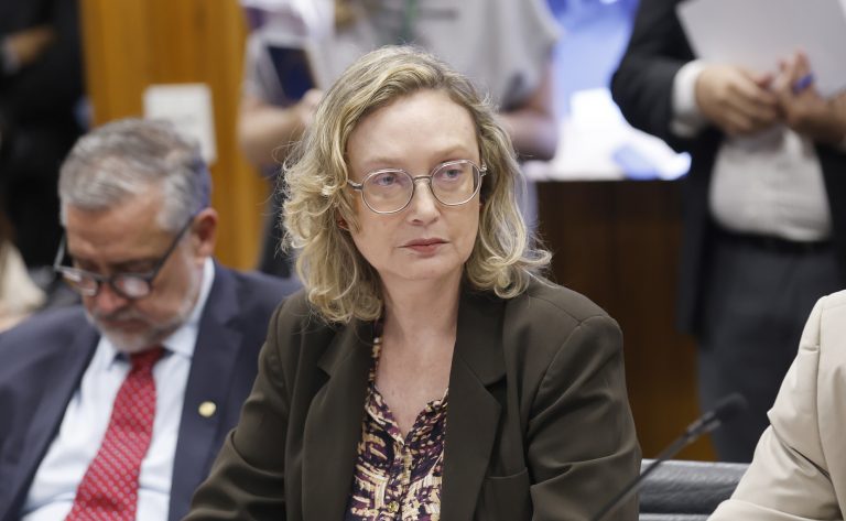 Reunião de Líderes. Dep. Maria do Rosário (PT - RS)