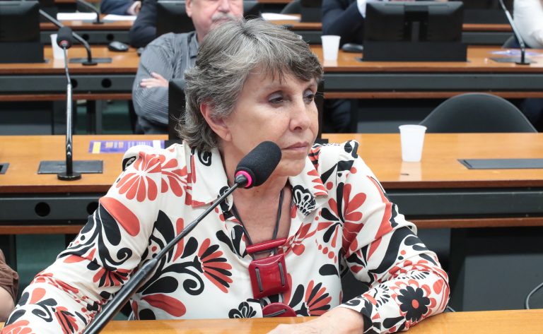 Discussão e Votação do Parecer do Relator. Dep. Erika Kokay (PT - DF)