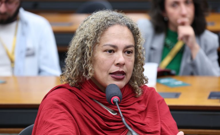 Audiência Pública - Questões que envolvem mudança climática e patrimônio. Representante do Conselho Internacional de Monumentos e Sítios Brasil, Luana Campos.