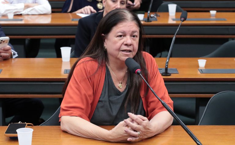 Audiência Pública - Santuário Cristo Redentor: turismo, patrimônio e segurança jurídica. Dep. Laura Carneiro (PSD - RJ)
