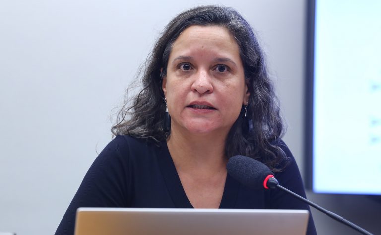 Audiência Pública - Aumento dos casos de violência contra as mulheres no Brasil. Representante - Instituto de Estudos Socioeconômicos- Inesc, Carmela Zigoni
