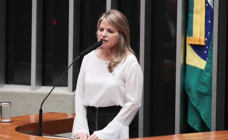 Deputada Flávia Morais fala ao microfone