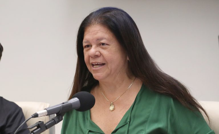 Deputada Laura Carneiro (PSD-RJ) fala em reunião na Câmara dos Deputados