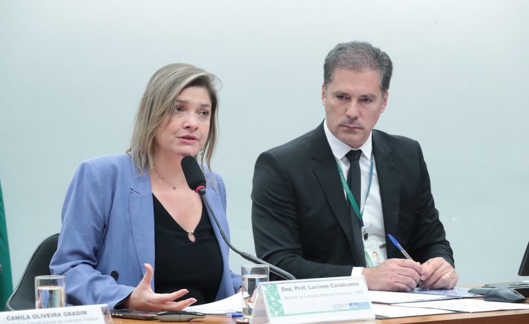 Audiência Pública - Situação do quadro de pessoal do Tribunal Regional do Trabalho da 2ª Região. Dep. Professora Luciene Cavalcante (PSOL - SP)