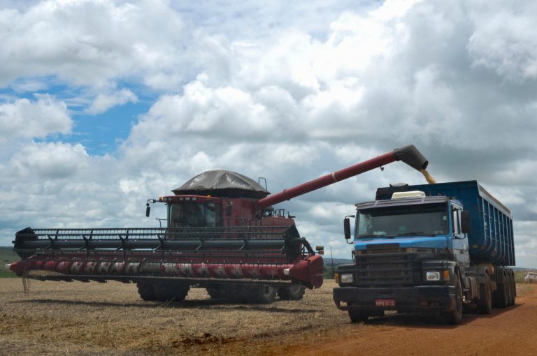Agropecuária - plantações - colheitas grãos exportação transporte produção agrícola caminhões commodities