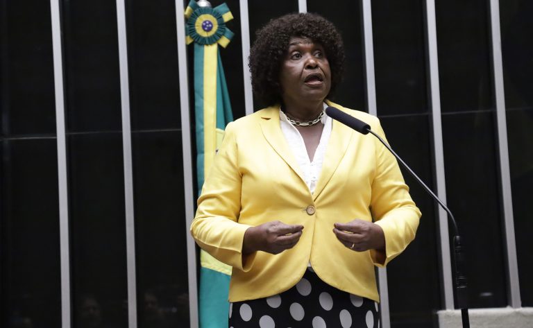 Discussão e votação de propostas legislativas. Dep. Benedita da Silva (PT - RJ)