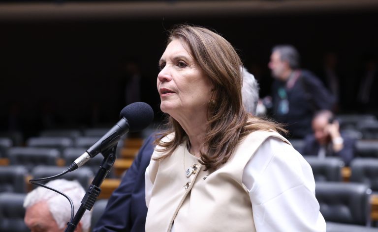 Discussão e votação de propostas legislativas. Dep. Bia Kicis (PL-DF)