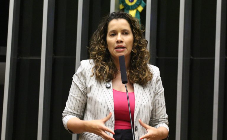 Discussão e votação de propostas legislativas. Dep. Denise Pessôa (PT-RS)