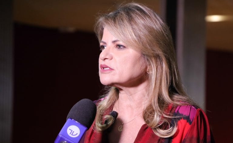 Deputada Flávia Morais fala ao microfone