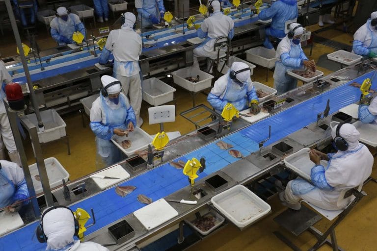 Economia - indústria e comércio - fabricação de suco - suco de laranja - linha de produção - empresa - fábrica