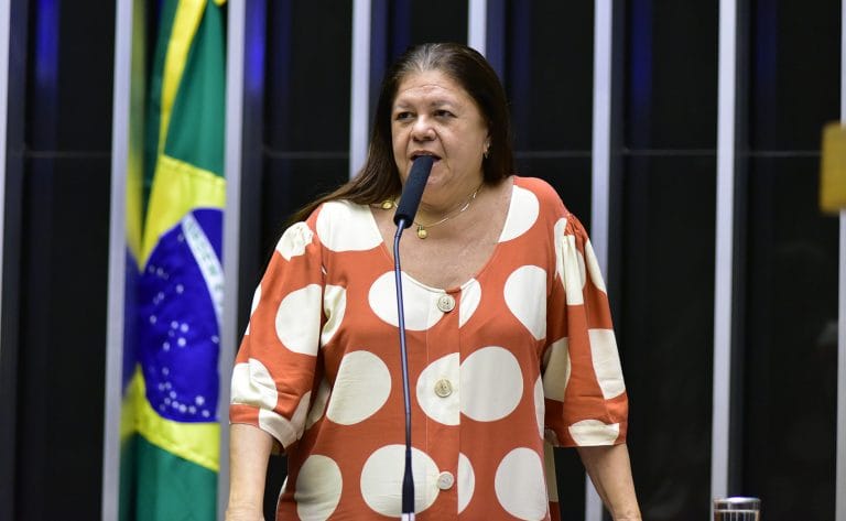 Deputada Laura Carneiro fala ao microfone