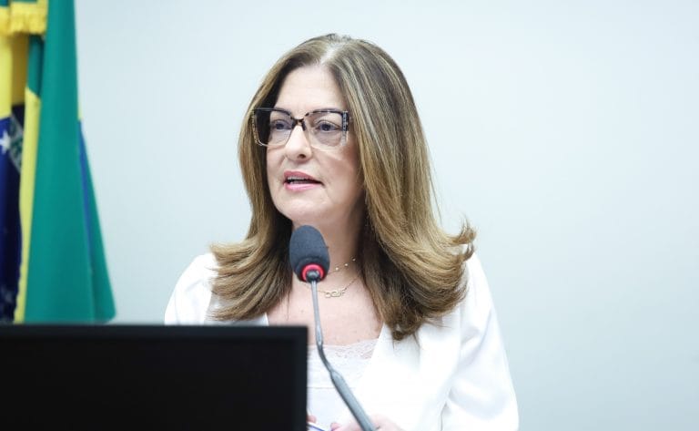 Audiência Pública - Criação do Dia Nacional das Mulheres na Construção Civil. Dep. Rogéria Santos (REPUBLICANOS- BA)