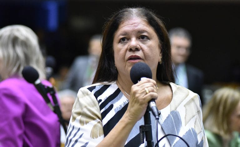 Deputada Laura Carneiro (PSD-RJ) fala no Plenário da Câmara dos Deputados