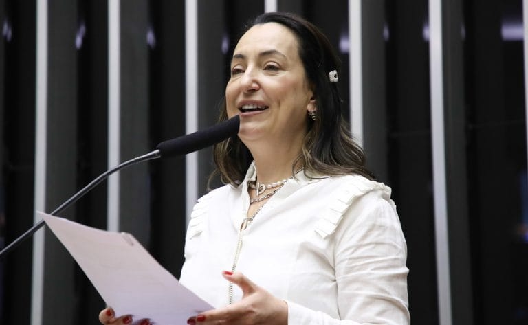 Deputada Rosângela Moro fala ao microfone