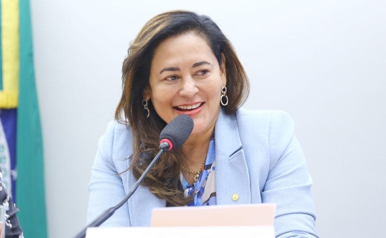 Discussão e votação de propostas legislativas. Dep. Dilvanda Faro (PT - PA)