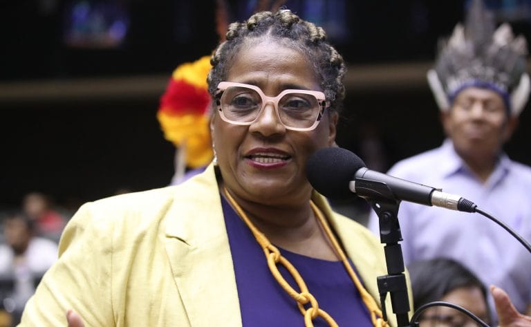 Homenagem ao Dia dos Povos Indígenas. Dep. Reginete Bispo(PT - RS)