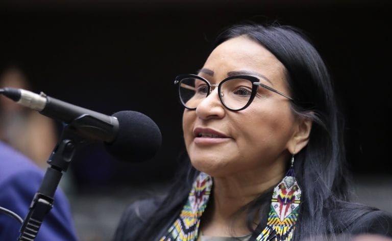 Deputada Silvia Waiãpi fala ao microfone