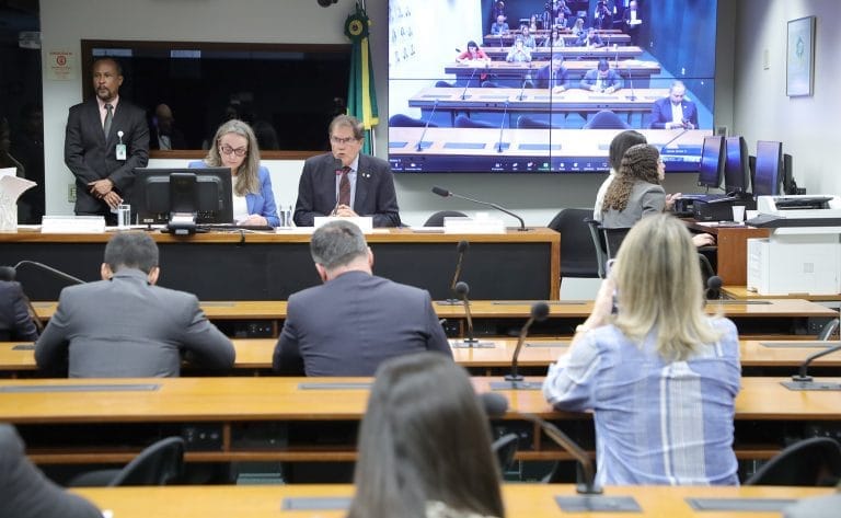 Audiência Pública - Necessidade de obras em área de risco em Palhoça, Santa Catarina. Dep. Daniela Reinehr (PL - SC) e Dep. José Rocha (UNIÃO - BA)