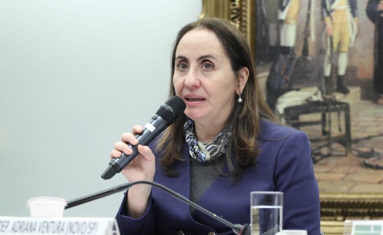 Audiência Pública - Violência nas Universidades por intolerância à diversidade de pensamento. Dep. Adriana Ventura (NOVO-SP)