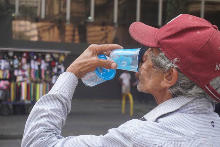 Butantan: mudança climáticas compromete resistência e contribui para aumento de doenças