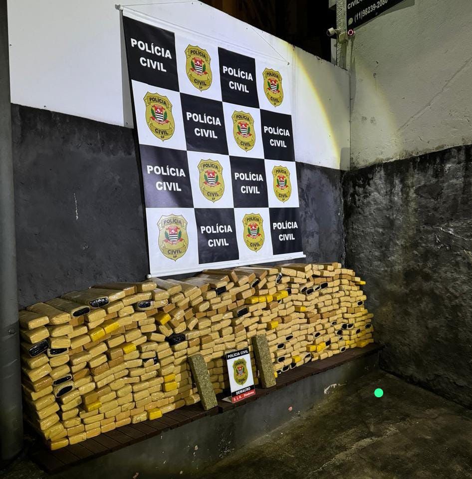 Carga de maconha apreendida