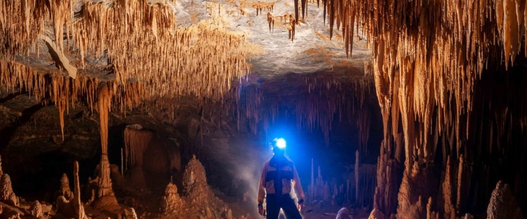 Parque Estadual Turístico Alto Da Ribeira