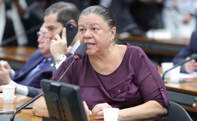 Discussão e votação de propostas legislativas. Dep. Laura Carneiro (PSD-RJ)