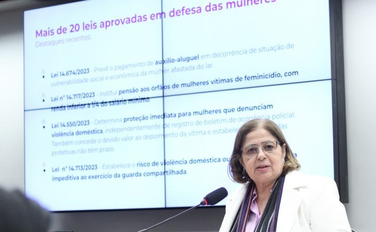 Apresentação dos programas e projetos para a gestão de 2024. Ministra de Estado - Ministério das Mulheres, Aparecida Gonçalves