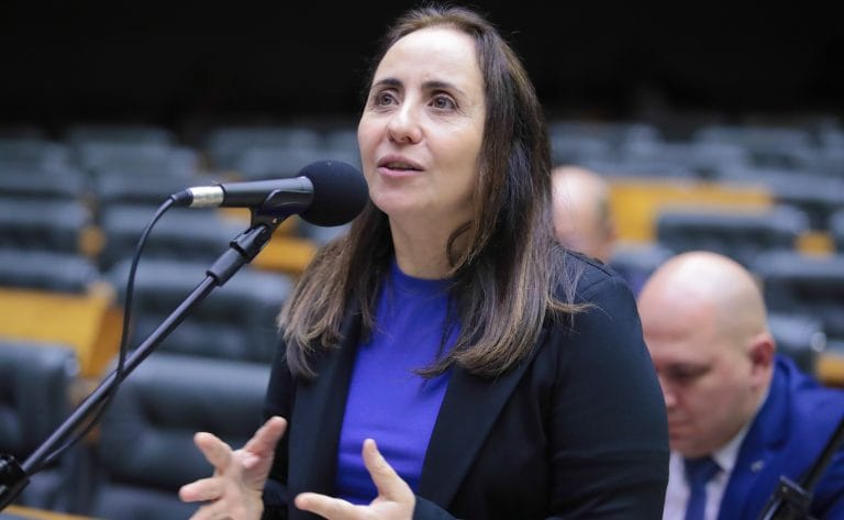 Deputada Adriana Ventura fala ao microfone