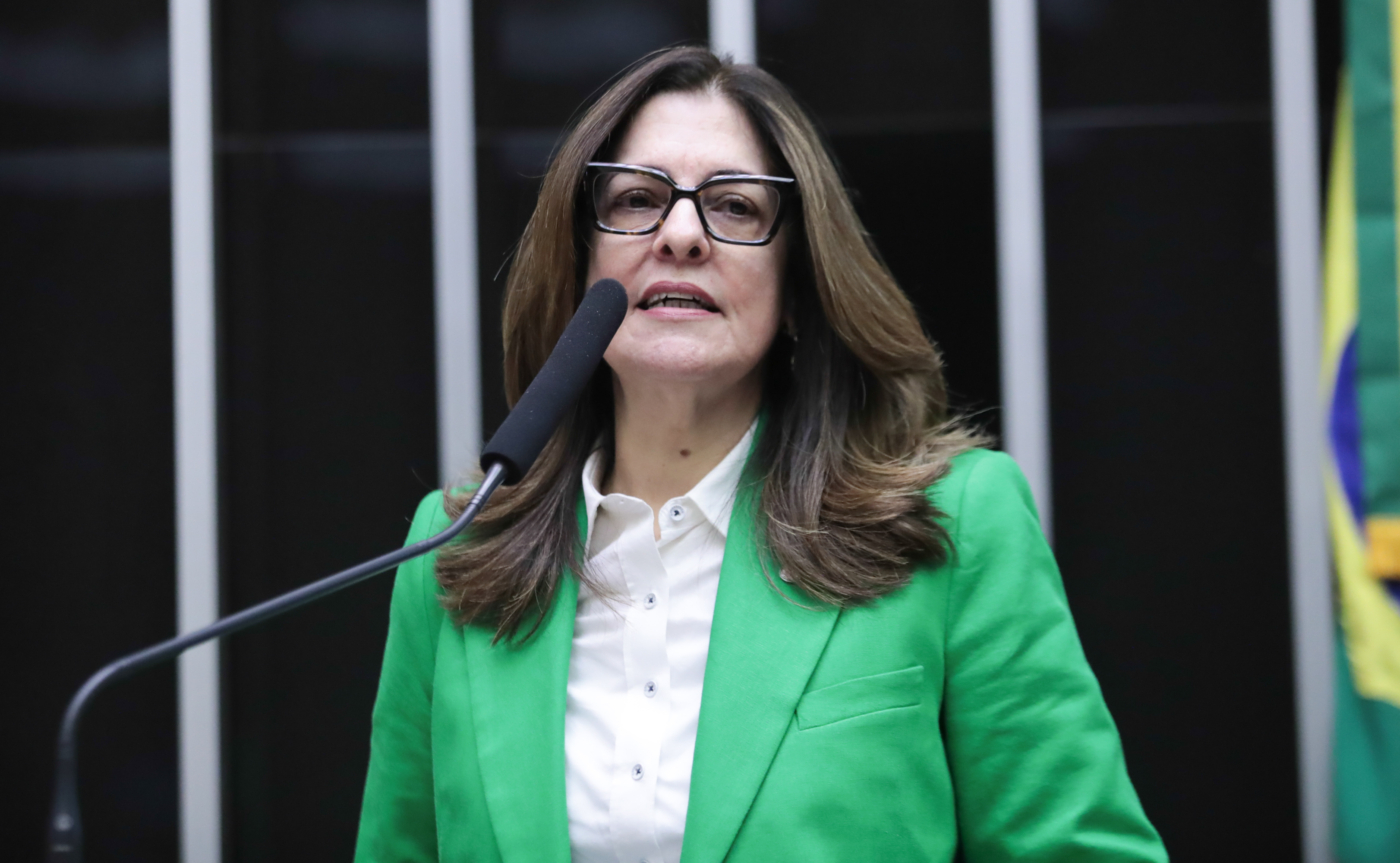 Plenário - Sessão Solene