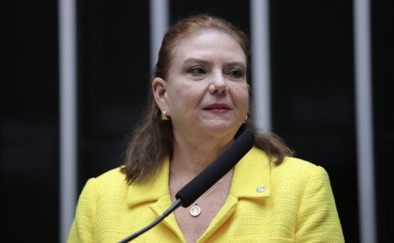 Discussão e votação de propostas. Dep. Fernanda Pessoa (UNIÃO - CE)