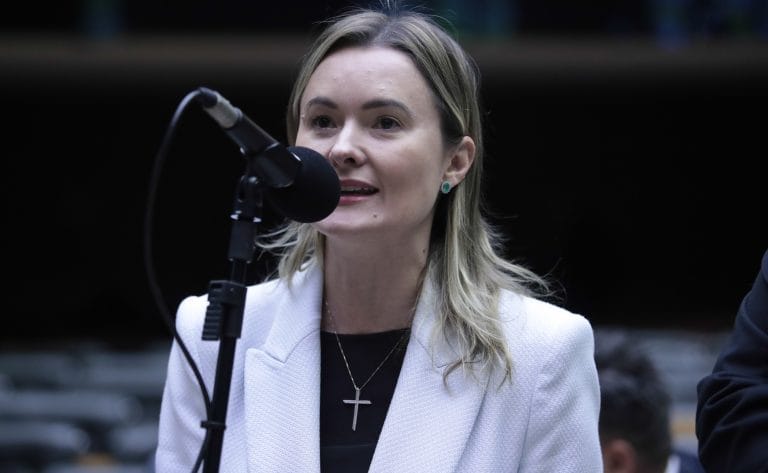 Discussão e votação de propostas. Dep. Julia Zanatta (PL - SC)