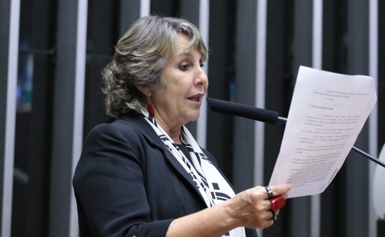Discussão e votação de propostas. Dep. Erika Kokay (PT - DF)