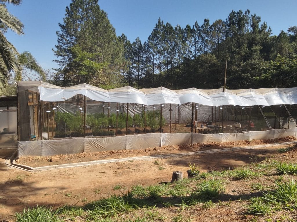 Local onde a maconha era cultivada