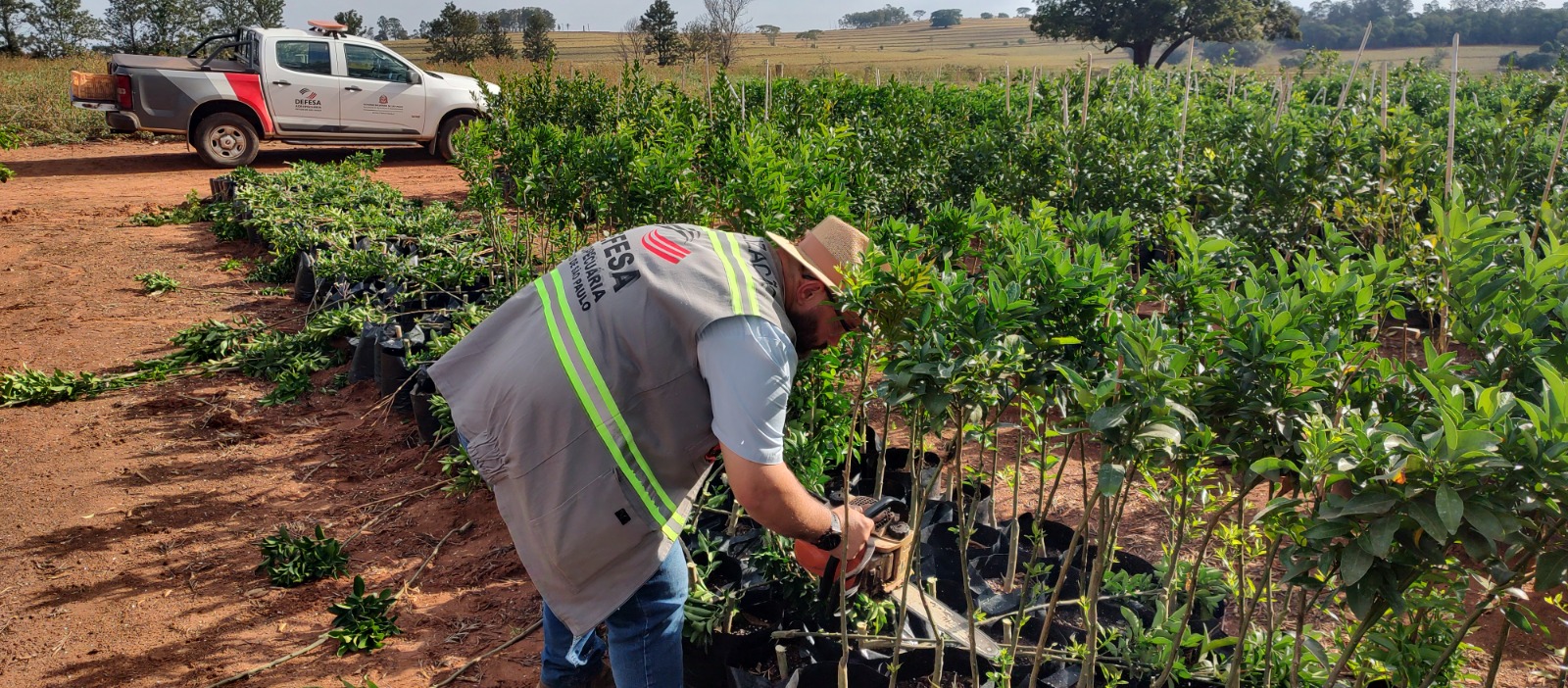 Foram fiscalizados seis locais