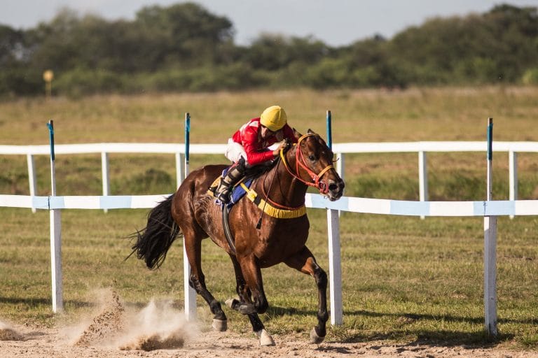 Esporte - geral - turfe corrida de cavalos hipódromo apostas