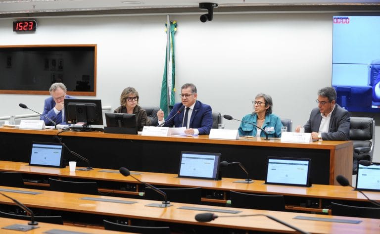 Audiência Pública - Combate ao desmatamento na Amazônia.