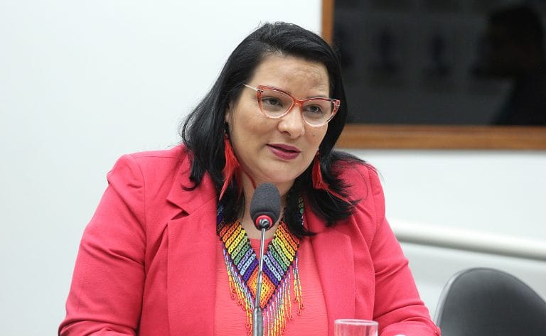 Deputada Juliana Cardoso em reunião de comissão