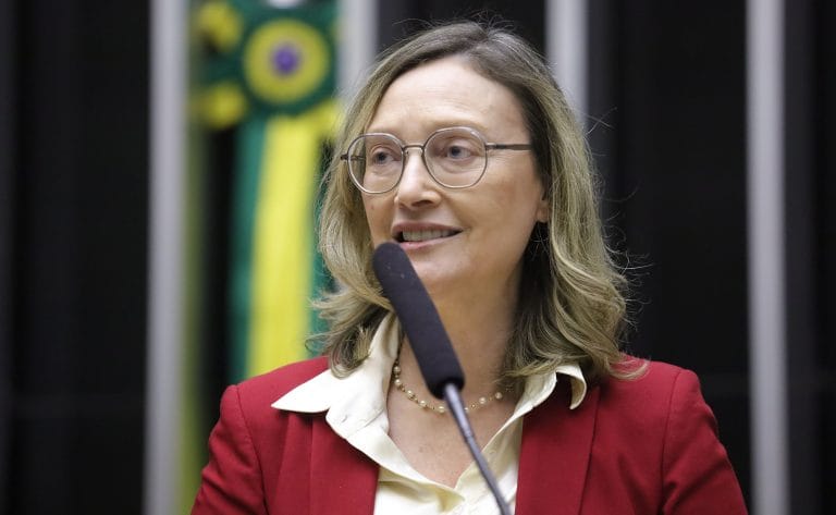 Discussão e votação de propostas. Dep. Maria do Rosário (PT - RS)