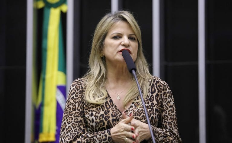 Deputada Flávia Morais fala ao microfone. Ela é loira, tem o cabelo comprido, usa uma blusa com estampa de animal print