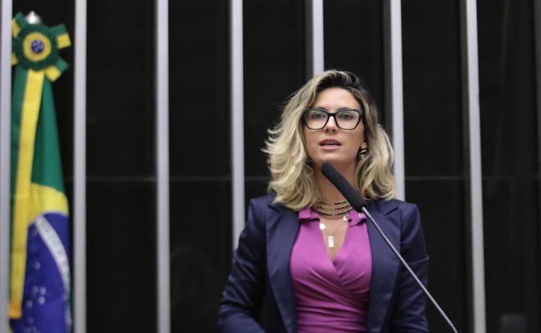 Discussão e votação de propostas. Dep. Loreny (SOLIDARIEDADE-SP)