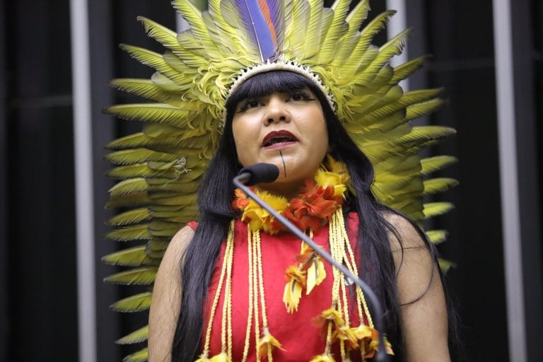 Deputada Célia Xakriabá fala ao microfone