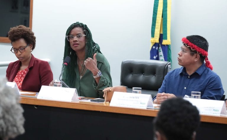 Audiência Pública - Aldear e aquilombar os serviços públicos. Diretora do Departamento de Provimento e Movimentação de Pessoal - Ministério da Gestão e Inovação em Serviços Públicos, Maria Aparecida Chagas. Dep. Carol Dartora (PT-PR). Diretor do Departamento de Línguas e Memórias Indígenas - Ministério dos Povos Indígenas. Eliel Benites.