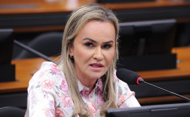 Deputada Daniela do Waguinho fala ao microfone