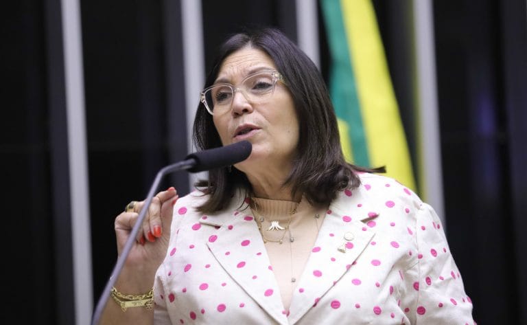 Deputada Bia Kicis discursa no plenário