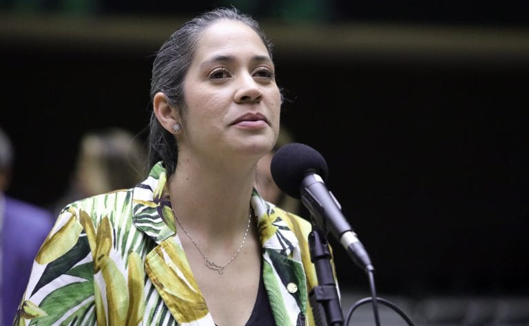 Discussão e votação de propostas. Dep. Iza Arruda (MDB - PE)